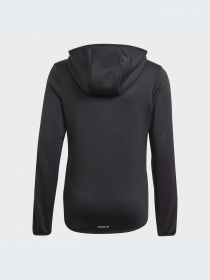 Худи и свитшоты Adidas Clima модель GN1462 Фото