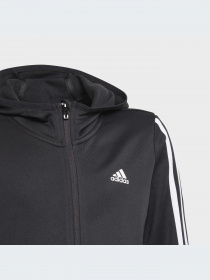 Худи и свитшоты Adidas Clima модель GN1462 Фото