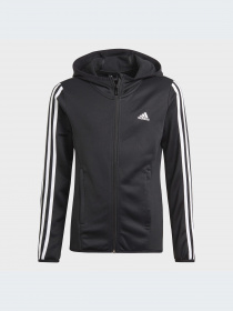 Худи и свитшоты Adidas Clima модель GN1462 Фото