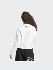 Свитшот Adidas Graphics модель HY4268 Фото