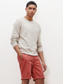 Повсякденні шорти Tchibo модель T1701852712 Повсякденні шорти Tchibo модель T1701852712 Фото