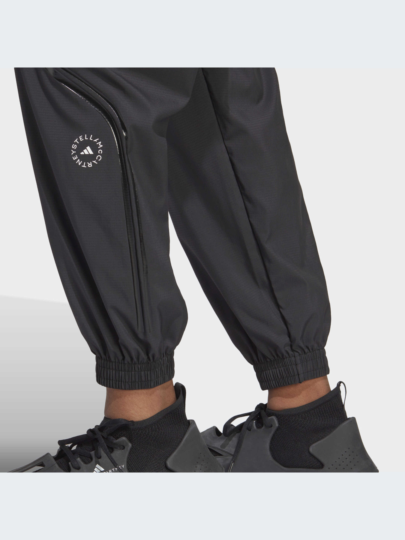 Штаны спортивные Adidas модель HR2209 Фото