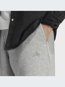 Повседневные шорты Adidas модель IC9816 Фото