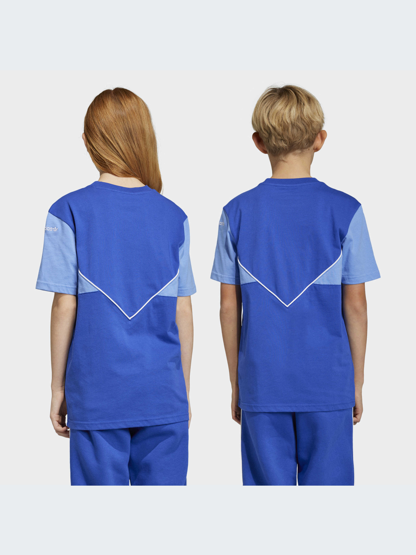 Футболка Adidas Adicolor модель IC6242 Фото