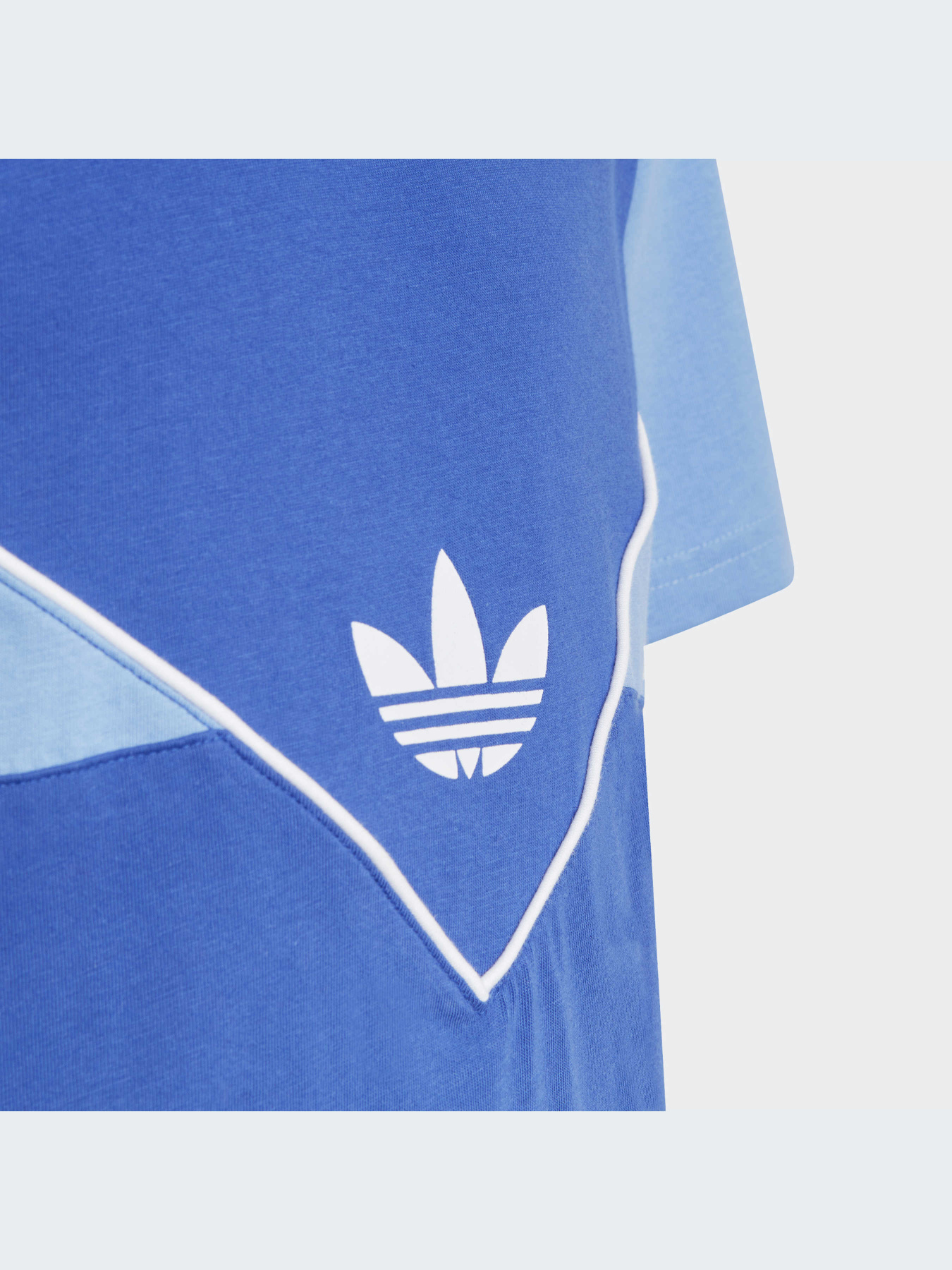 Футболка Adidas Adicolor модель IC6242 Фото