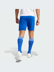 Шорты спортивные Adidas модель GK9153 Фото