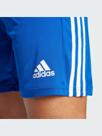 Шорты спортивные Adidas модель GK9153 Фото