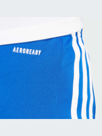 Шорты спортивные Adidas модель GK9153 Фото