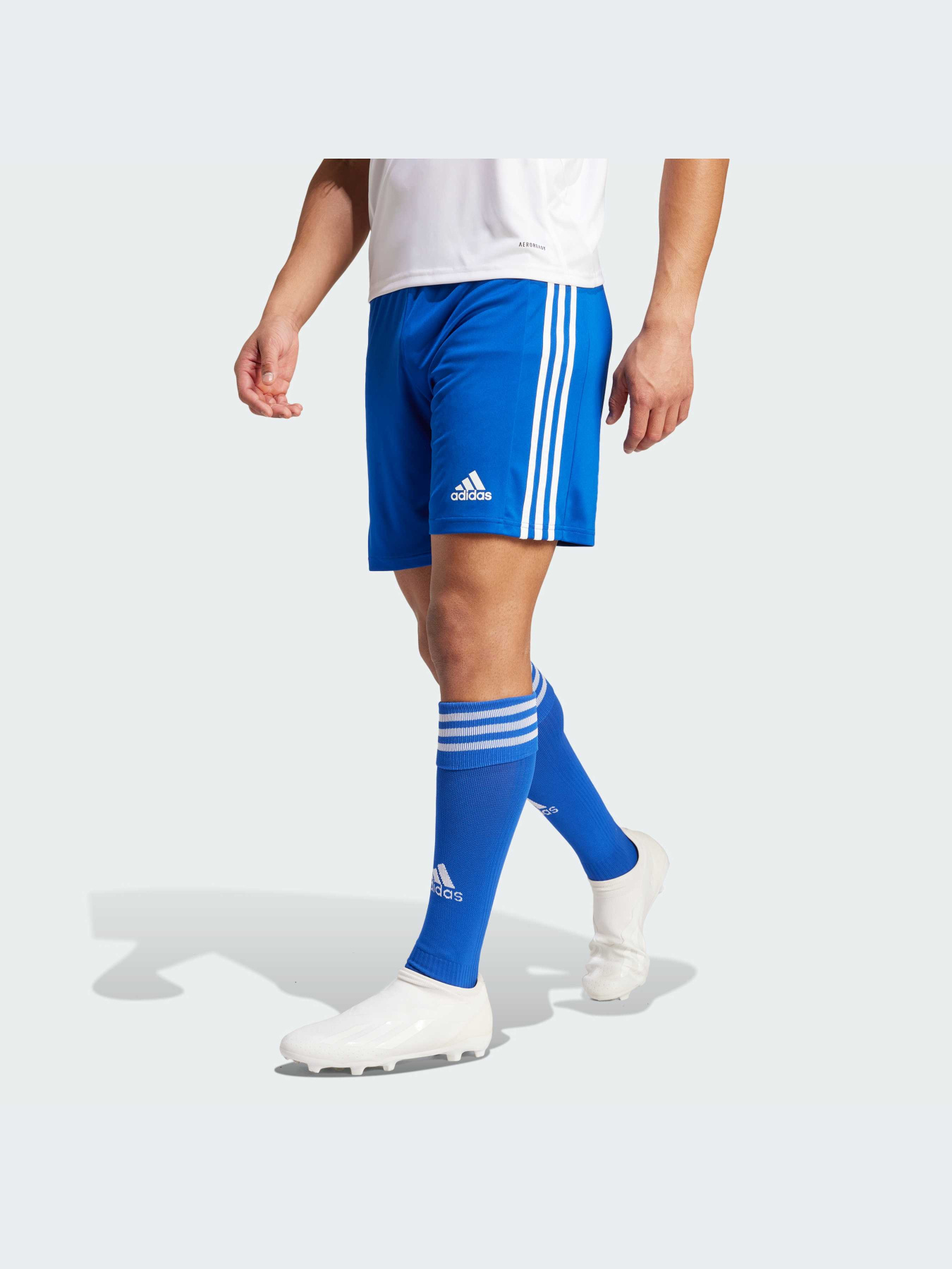 Шорты спортивные Adidas модель GK9153 Фото