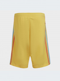 Шорти Adidas модель IB8620 Фото