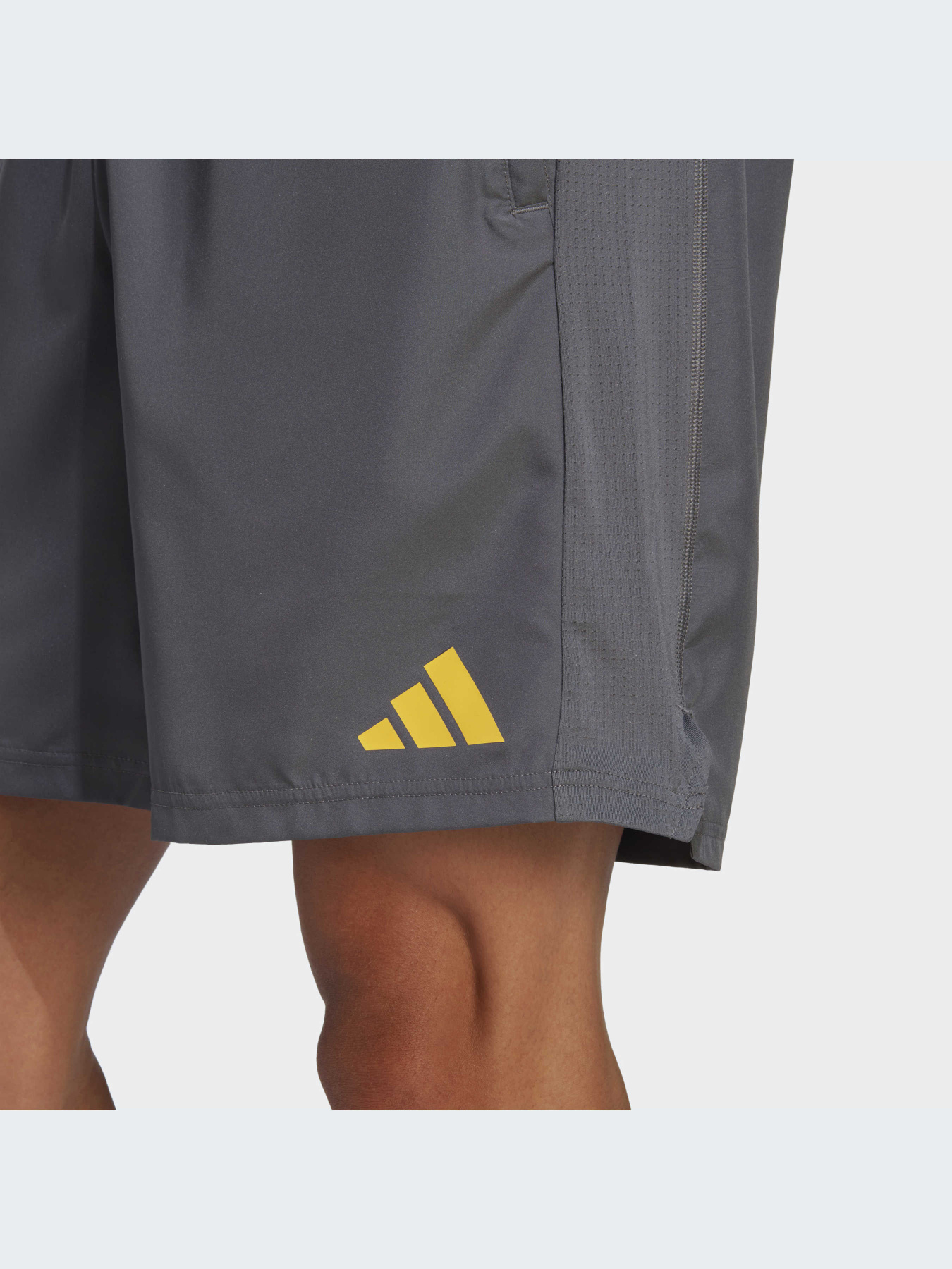 Шорты спортивные Adidas Clima модель IB8178 Фото