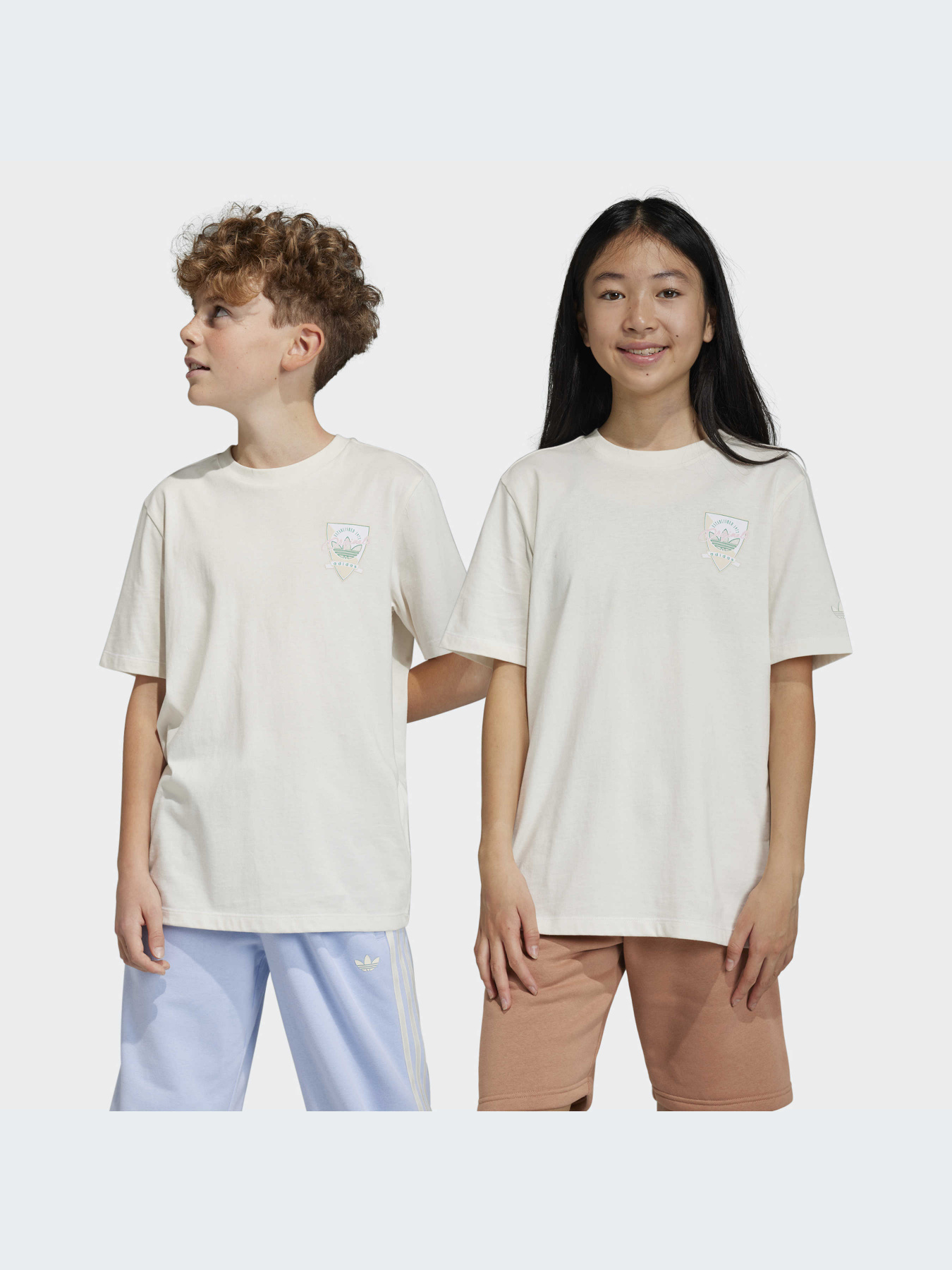 Футболка Adidas модель IB8456 Фото