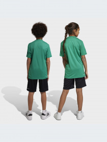 Спортивный комплект Adidas 3 Stripes модель IC5671 Фото