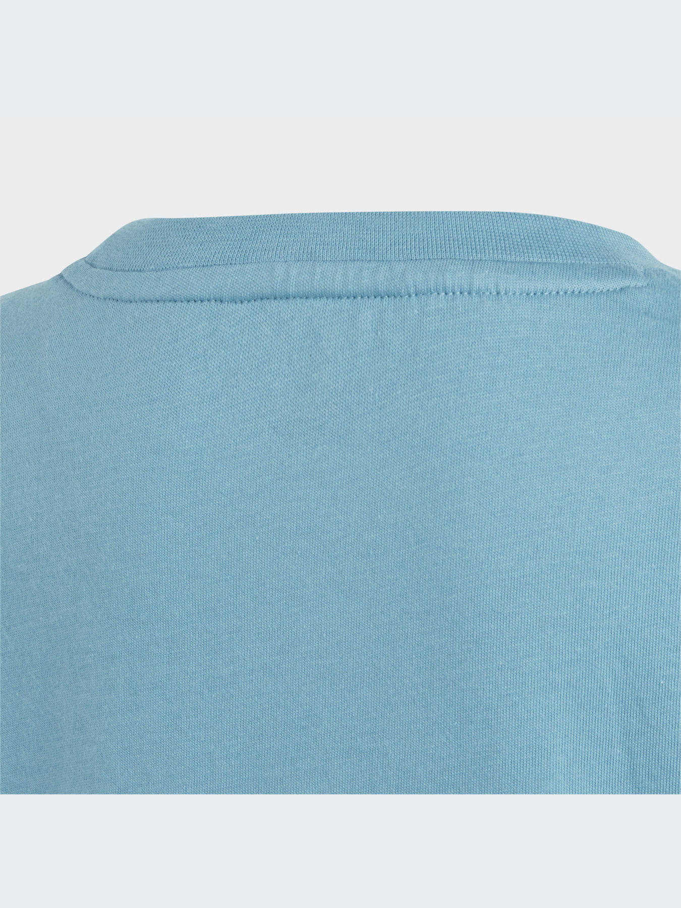 Футболка Adidas Adicolor модель IC9121 Фото