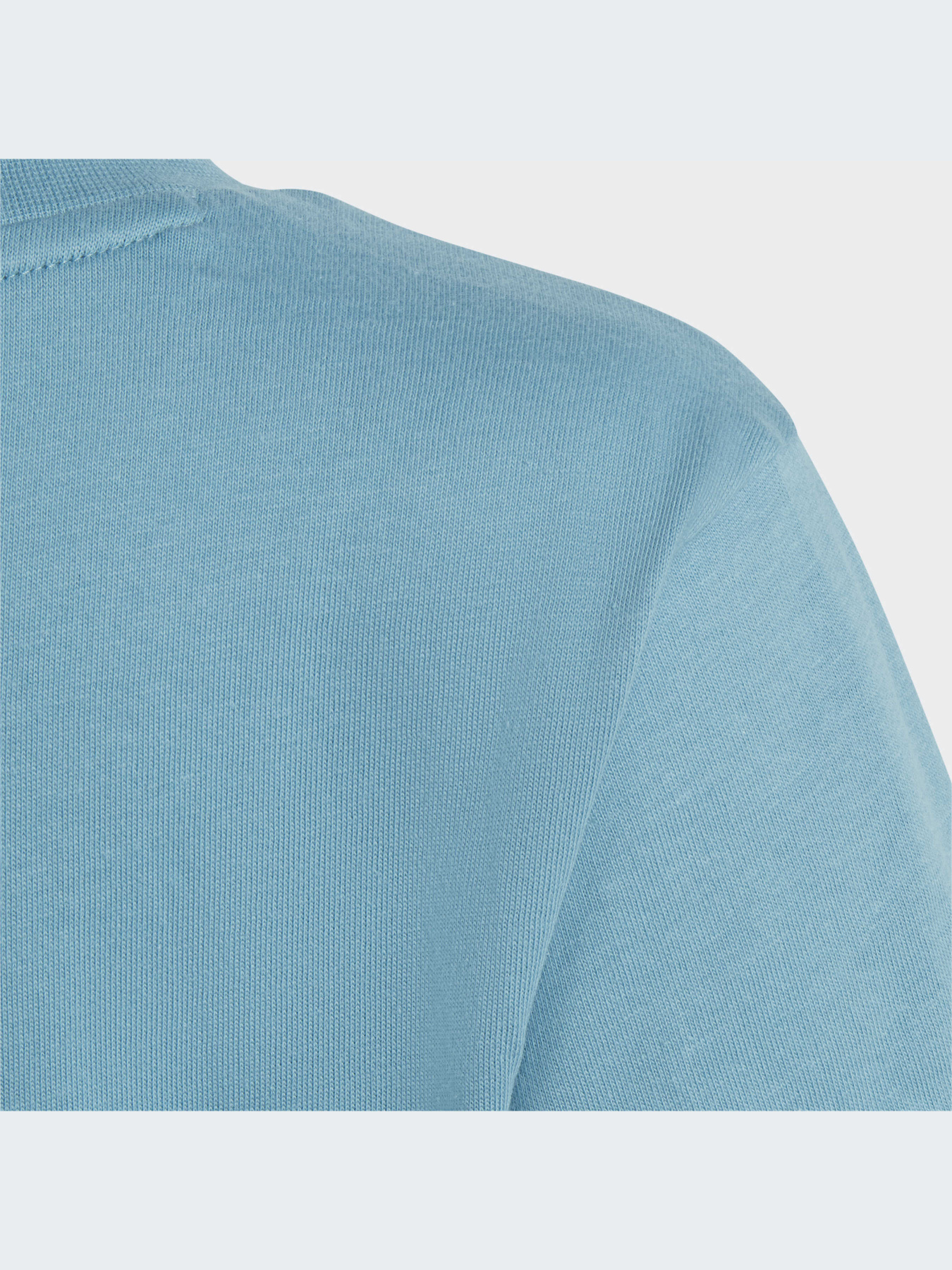 Футболка Adidas Adicolor модель IC9121 Фото