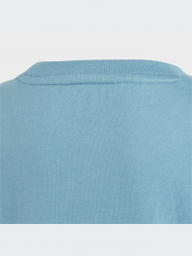 Футболка Adidas Adicolor модель IC9121 Фото