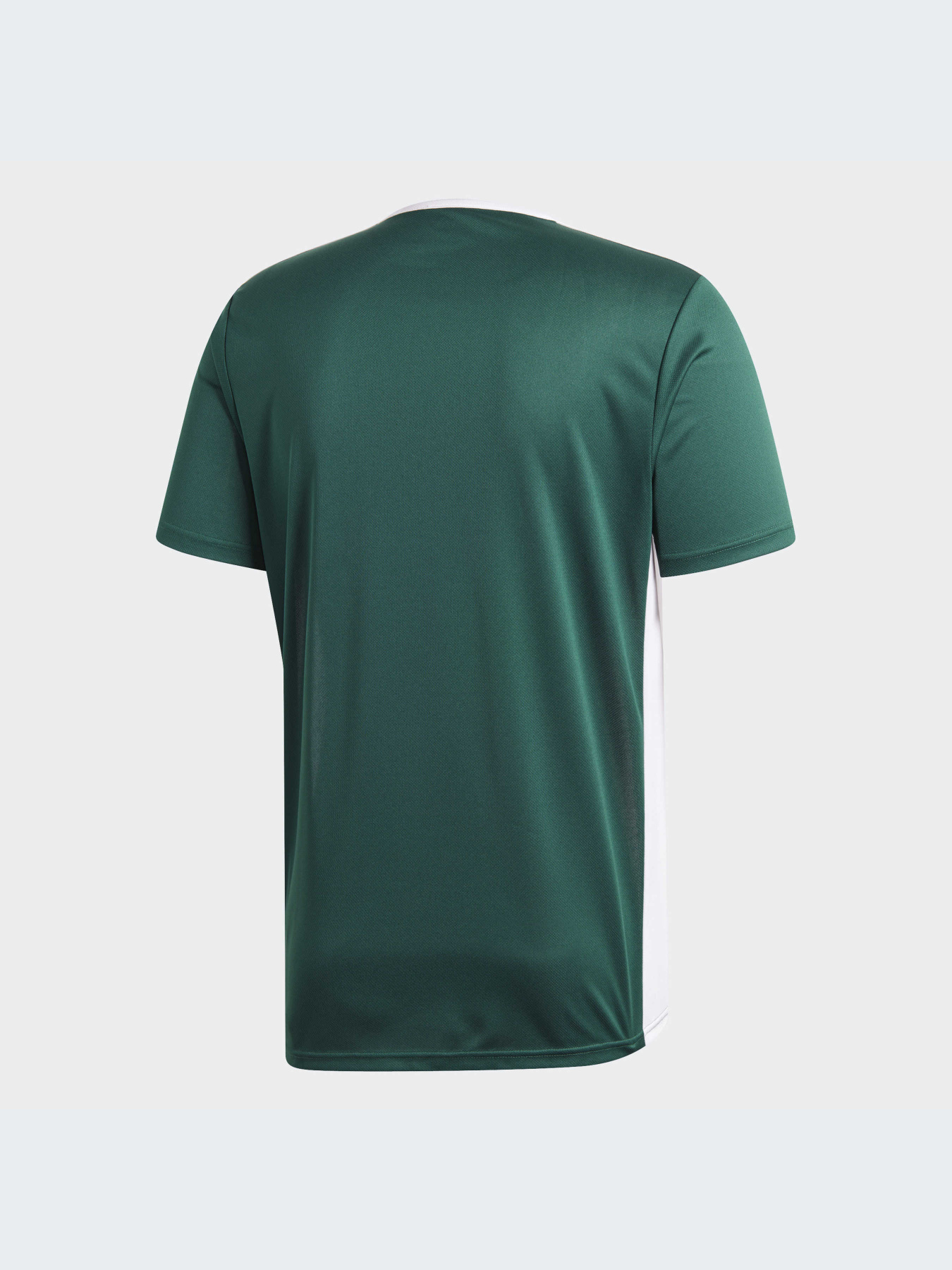 Футболка спортивная Adidas модель CD8358 Фото