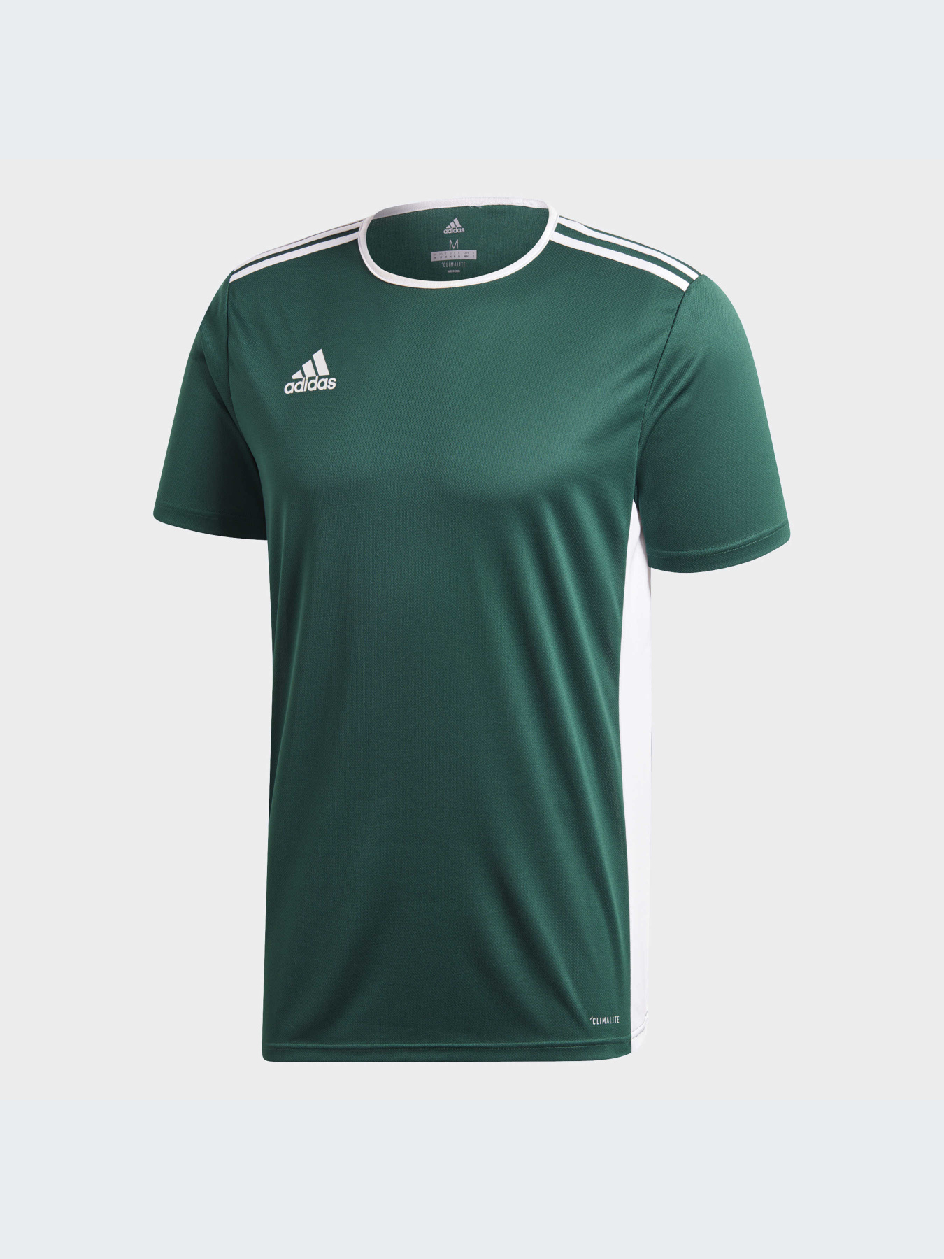 Футболка спортивная Adidas модель CD8358 Фото