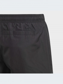 Шорты для плавания Adidas модель GQ1063 Фото