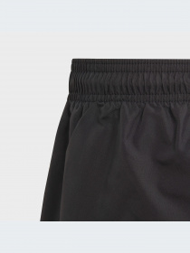 Шорты для плавания Adidas модель GQ1063 Фото