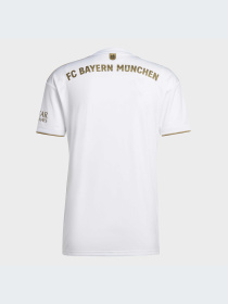 Футболка спортивная Adidas модель HI3886 Фото