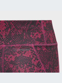 Спортивные леггинсы Adidas модель IC0352 Спортивные леггинсы Adidas модель IC0352 Фото