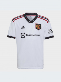 Спортивная футболка Adidas модель H64055 Фото