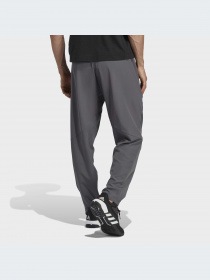 Штаны спортивные Adidas модель IC7281 Фото