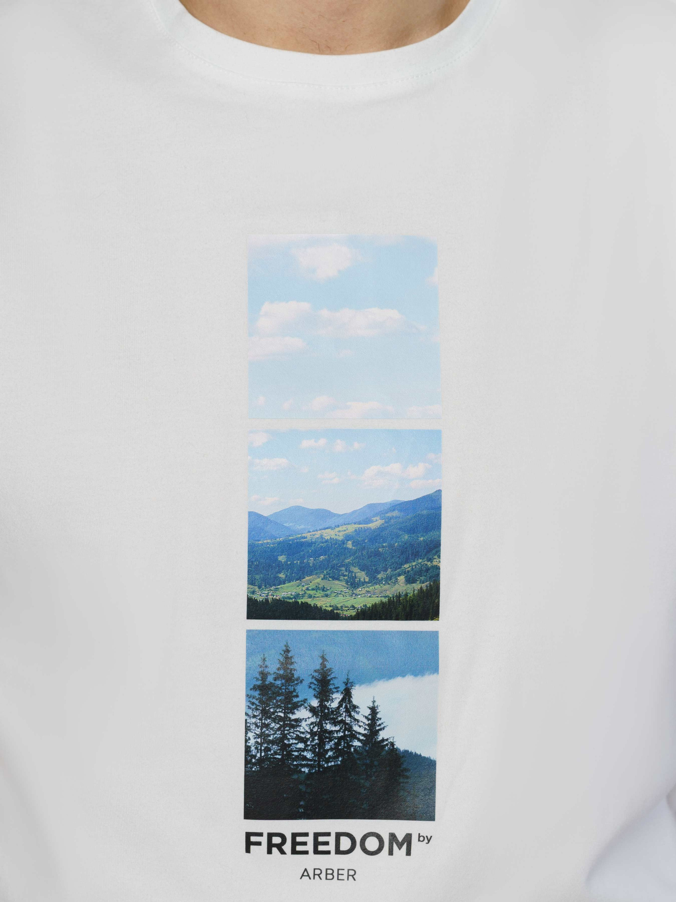 Футболка Arber модель F13.12.00.331 Фото