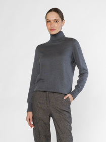 Свитер Arber модель W10.17.14.342 Фото