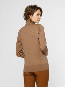 Свитер Arber модель W10.30.38.341 Фото