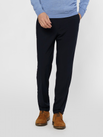 Класичні штани Arber модель M01.06.09.300 Фото