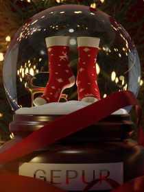 Носки Gepur модель 45823 Фото