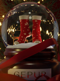 Шкарпетки Gepur модель 45823 Фото