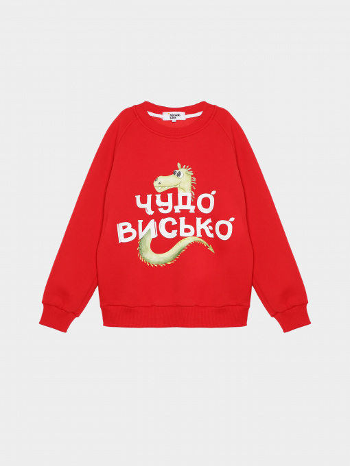 Свитшот Miracle Kids модель 72-17-032 Фото