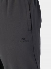 Спортивні штани AVECS модель 50348-17 Фото