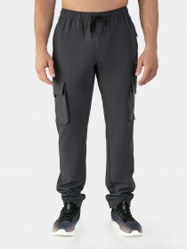 Штаны спортивные AVECS модель 50347-17 Штаны спортивные AVECS модель 50347-17 Фото