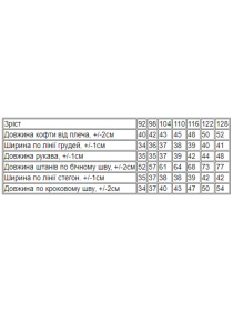 Повсякденний костюм Носи своє модель 6083-027-22-5-pudra Фото