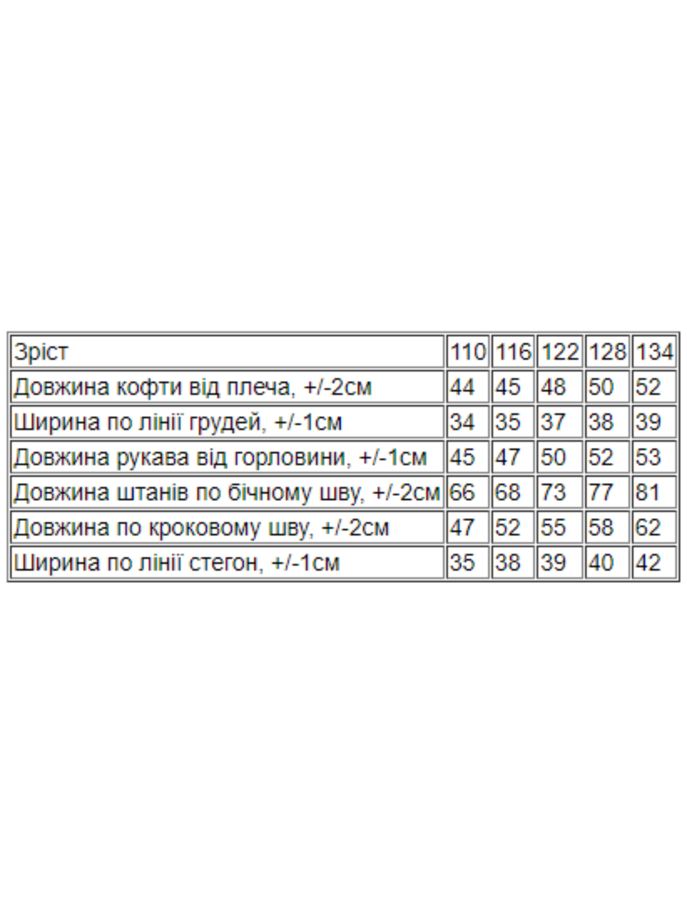 Повседневный костюм Носи своє модель 6309-025-33-4-temnij-polin Фото
