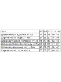 Повседневный костюм Носи своє модель 6309-025-33-4-temnij-polin Фото
