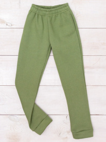 Джоггеры Носи своє модель 6232-025-fstashkovij Фото