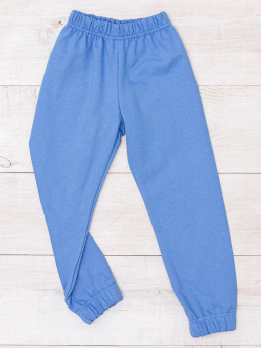 Джоггеры Носи своє модель 6155-023-4-temno-blakitnij Фото