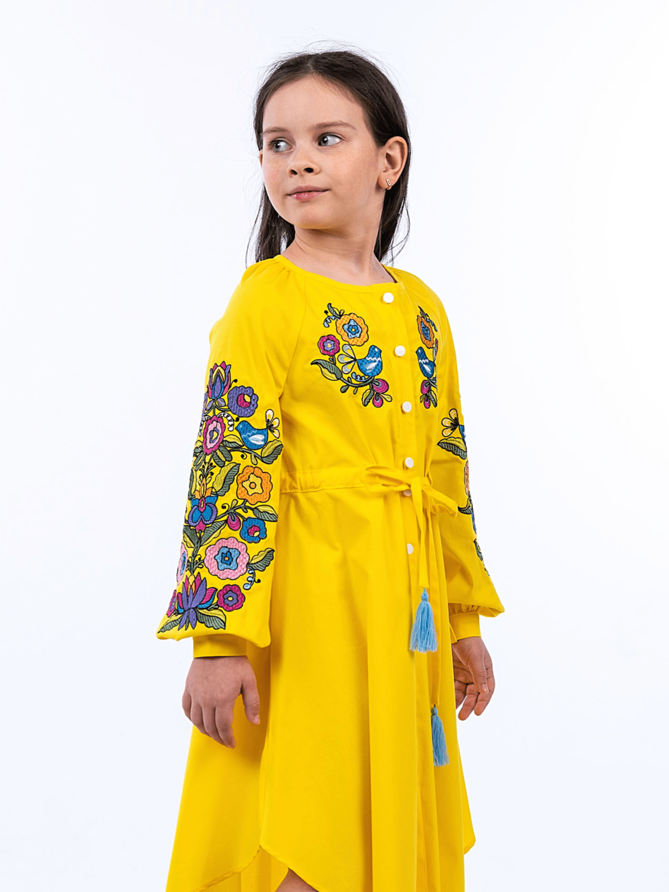 Вишита сукня Едельвіка модель 272-22-09Yellow Фото