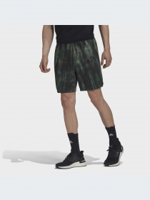 Шорты спортивные Adidas модель HL8765 Фото