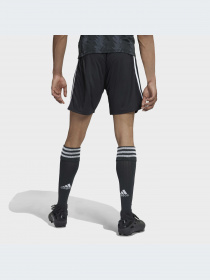 Шорты спортивные Adidas модель H38895 Фото