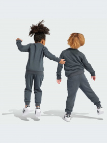 Спортивный костюм Adidas модель IC3056 Фото