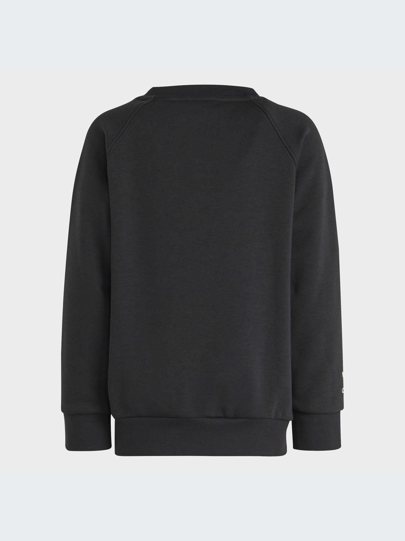 Спортивний костюм Adidas модель IC3056 Фото