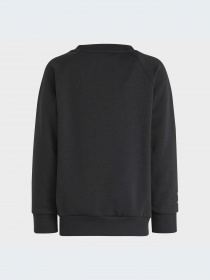 Спортивний костюм Adidas модель IC3056 Фото