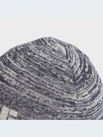 Шапка Adidas модель GE1168 Фото