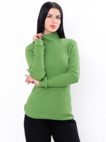 Водолазка Носи своє модель 8047-019-1-avokado Фото